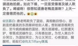 卓伟爆料蓝洁莹视频,真相揭秘引网友热议